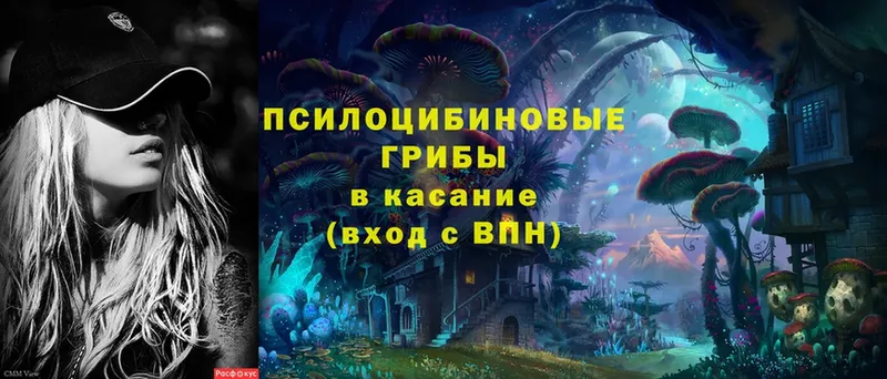 Галлюциногенные грибы MAGIC MUSHROOMS  Ершов 